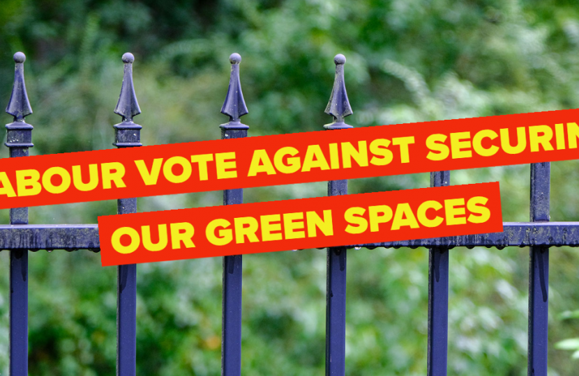 Labour vote against securing green spaces